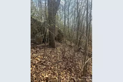 1820 Grapevine Road, Marshall, NC 28753 - Photo 27