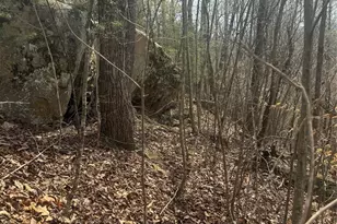 1820 Grapevine Rd, Marshall, NC 28753 - Photo 27