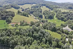 1820 Grapevine Rd, Marshall, NC 28753 - Photo 15