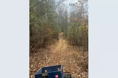 1820 Grapevine Road, Marshall, NC 28753 - Photo 21