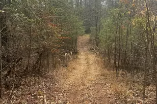 1820 Grapevine Rd, Marshall, NC 28753 - Photo 21