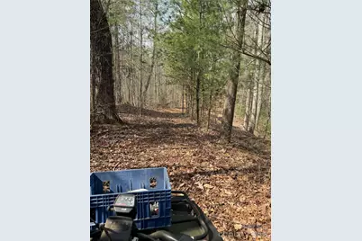 1820 Grapevine Road, Marshall, NC 28753 - Photo 37