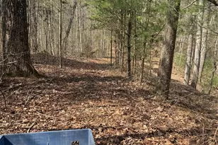 1820 Grapevine Rd, Marshall, NC 28753 - Photo 37