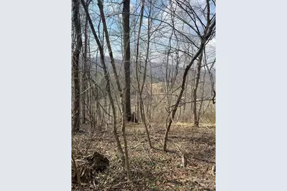 1820 Grapevine Road, Marshall, NC 28753 - Photo 31