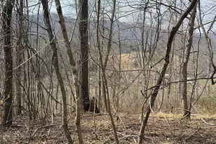 1820 Grapevine Rd, Marshall, NC 28753 - Photo 31