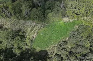 1820 Grapevine Rd, Marshall, NC 28753 - Photo 17