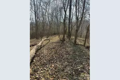 1820 Grapevine Road, Marshall, NC 28753 - Photo 29