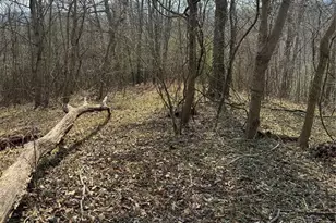 1820 Grapevine Rd, Marshall, NC 28753 - Photo 29