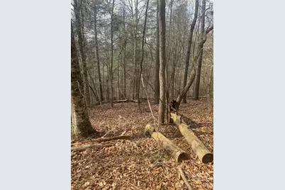 1820 Grapevine Road, Marshall, NC 28753 - Photo 19