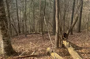 1820 Grapevine Rd, Marshall, NC 28753 - Photo 19