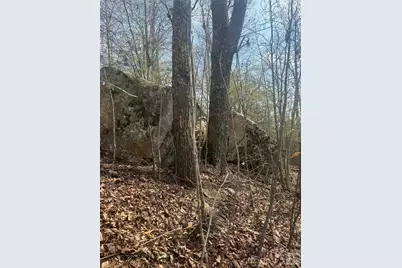 1820 Grapevine Road, Marshall, NC 28753 - Photo 25