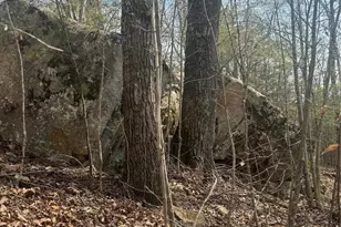 1820 Grapevine Rd, Marshall, NC 28753 - Photo 25