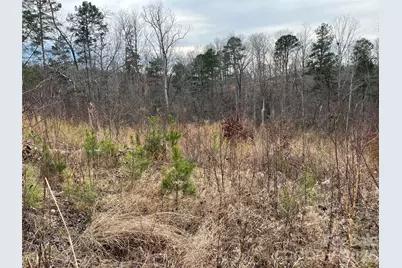 00 Shady Bark Lane #52, Rutherfordton, NC 28139 - Photo 23