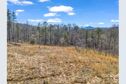 00 Shady Bark Lane #52, Rutherfordton, NC 28139 - Photo 5
