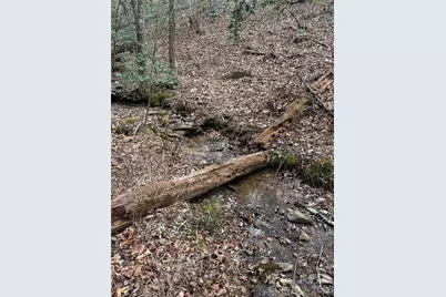 00 Shady Bark Lane #52, Rutherfordton, NC 28139 - Photo 27