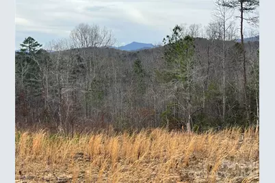 00 Shady Bark Lane #52, Rutherfordton, NC 28139 - Photo 21