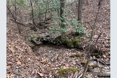 00 Shady Bark Lane #52, Rutherfordton, NC 28139 - Photo 25