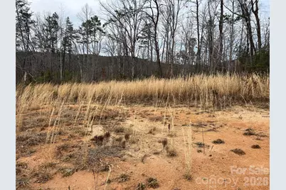 00 Shady Bark Lane #52, Rutherfordton, NC 28139 - Photo 19