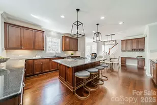 307 Hollister Estates Dr, Waxhaw, NC 28173 - Photo 19