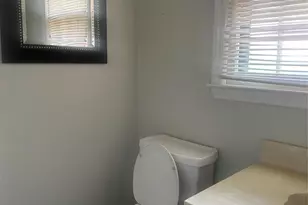 7309 Palmetto Ct, Charlotte, NC 28227 - Photo 9