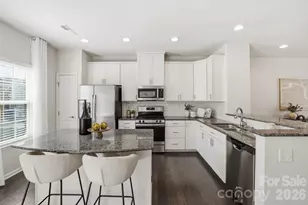 3047 Potomac River Pkwy, Charlotte, NC 28217 - Photo 5