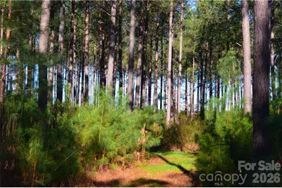 00 Bobby Faucette Road #1, Jonesville, SC 29353 - Photo 13