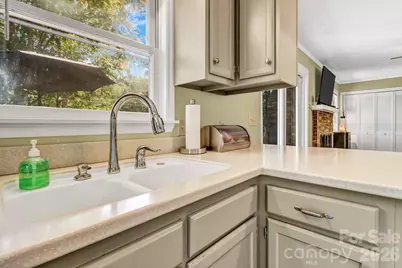 238 Park Lane, Hendersonville, NC 28791 - Photo 23