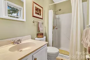 238 Park Ln, Hendersonville, NC 28791 - Photo 29