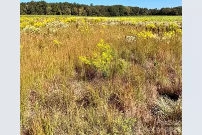 2127 Cull Williams Lane, Indian Trail, NC 28079 - Photo 17