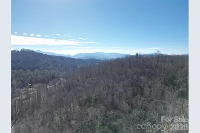 49 Reeds Creek Road, Fairview, NC 28730 - Photo 9