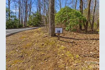 Tbd Panther Mountain Road #18, Zirconia, NC 28790 - Photo 3