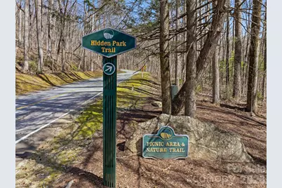 Tbd Panther Mountain Road #18, Zirconia, NC 28790 - Photo 27