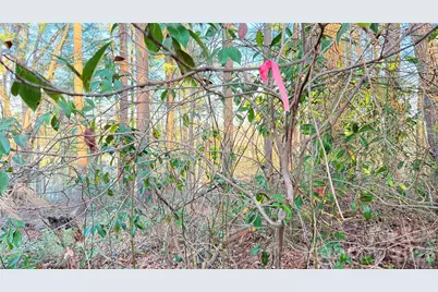 00 Toms Park Circle #21&22, Hendersonville, NC 28792 - Photo 1