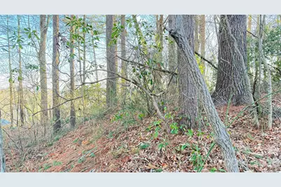 00 Toms Park Circle #21&22, Hendersonville, NC 28792 - Photo 5