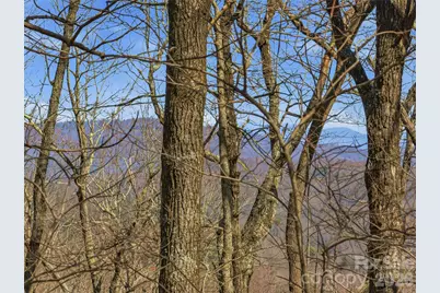 Tbd Wild Magnolia Way #52, Zirconia, NC 28790 - Photo 7