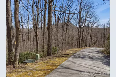 Tbd Wild Magnolia Way #52, Zirconia, NC 28790 - Photo 1