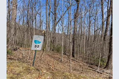 Tbd Wild Magnolia Way #52, Zirconia, NC 28790 - Photo 3