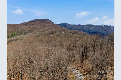 Tbd Wild Magnolia Way #52, Zirconia, NC 28790 - Photo 19