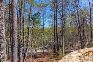 163 Simplicity Woods Dr, Franklin, NC 28734 - Photo 45