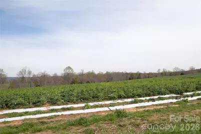 144 Iron Wheel Drive, Ellenboro, NC 28040 - Photo 11