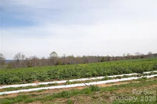 144 Iron Wheel Dr, Ellenboro, NC 28040 - Photo 11