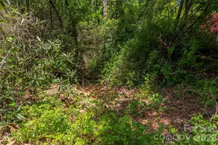 35 Grey Rock Valley, Black Mountain, NC 28711 - Photo 41