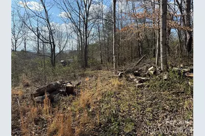 9999 Ox Creek Road, Weaverville, NC 28787 - Photo 3