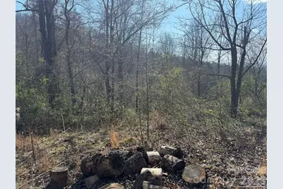 9999 Ox Creek Road, Weaverville, NC 28787 - Photo 5