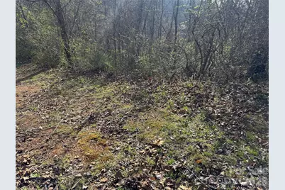 9999 Ox Creek Road, Weaverville, NC 28787 - Photo 11