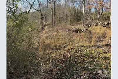 9999 Ox Creek Road, Weaverville, NC 28787 - Photo 13