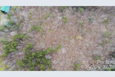 Tbd Joe Branch Road, Nebo, NC 28761 - Photo 19