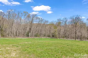 175 Pink Campbell Rd, Landrum, SC 29356 - Photo 5