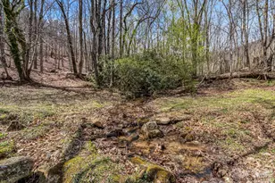 175 Pink Campbell Rd, Landrum, SC 29356 - Photo 13