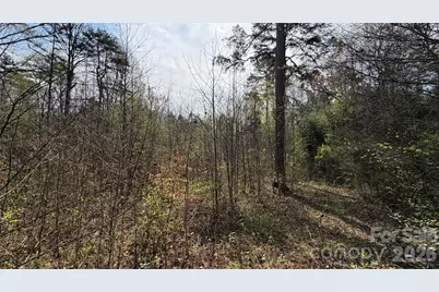 3245 Lark Drive, Denton, NC 27239 - Photo 11